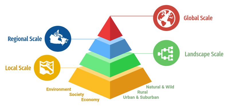 Navigation scheme - Pyramid. Click on an area to expand related topics...